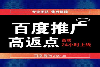 某某sem推广公司在某行业的应用与效果分析